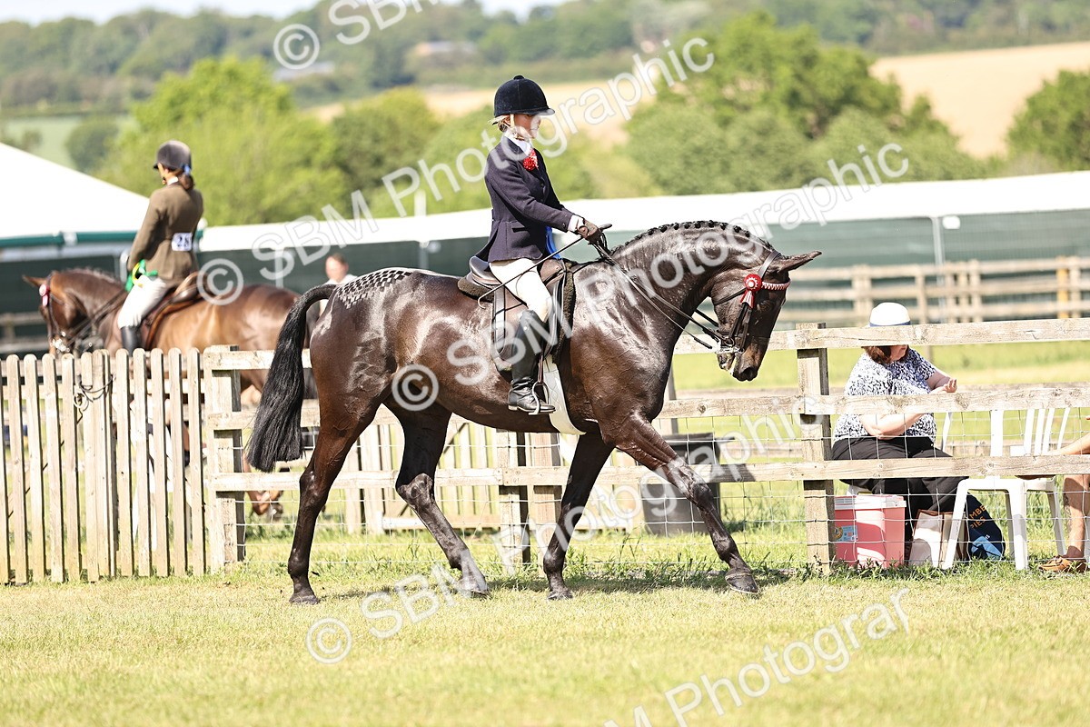 SBM_18087 - Class 81-83 - TSR Ridden Amateur of the Year - Horses
