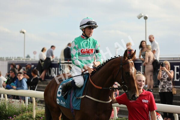 yr04092022r6-18 - Race 6 4.40pm Hanson Springs Stakes