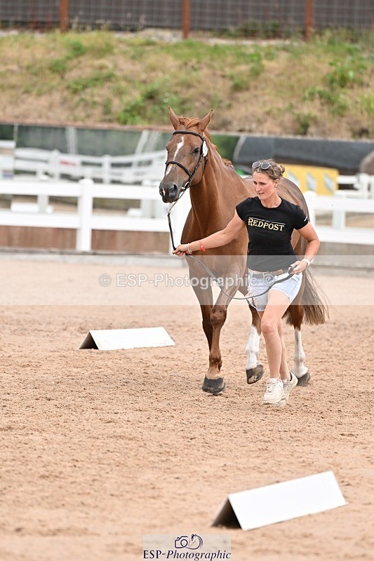 250716-143057-01155 - Trot Up 2.30 to 3.30