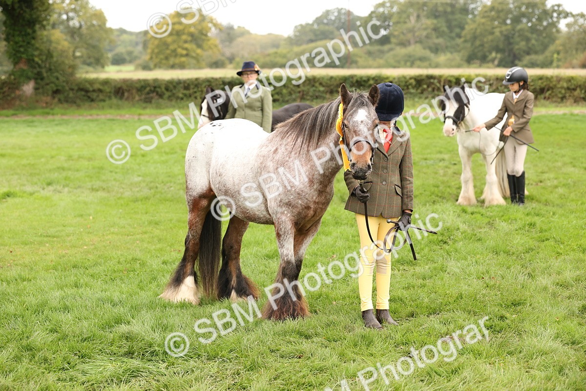 SBM_59367 - S57 - Traditional Cob In Hand
