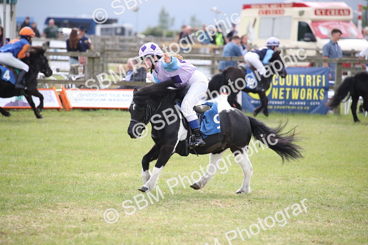 SBM_10201 - Dinky Derby