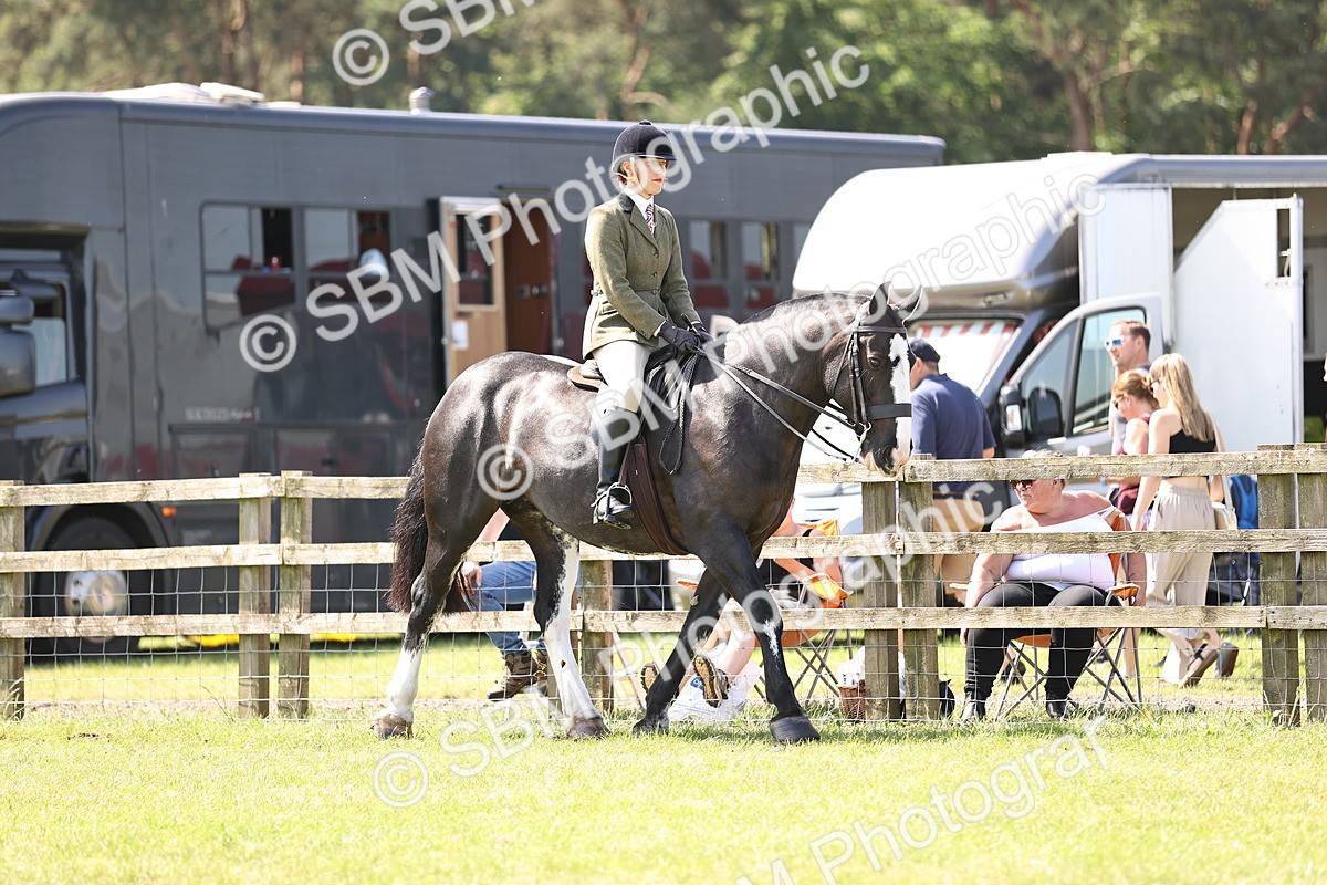 SBM_13680 - Class 77 - LIHS BSHA Rising Star Cobs