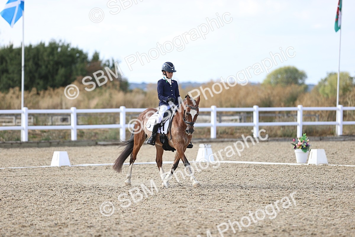 SBM_015975 - Class 5 - E5 Bronze  16.18.17.22