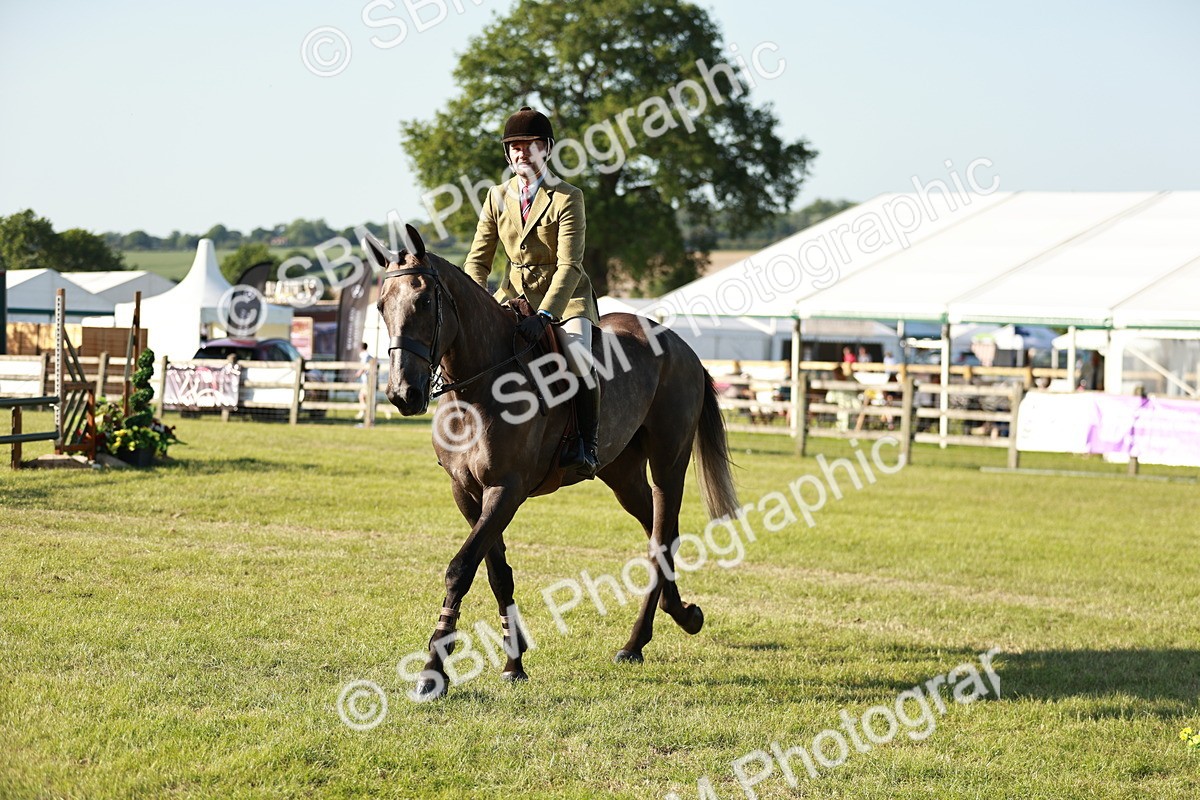 SBM_20159 - Class 117-119 - Sport Horse Working Hunter
