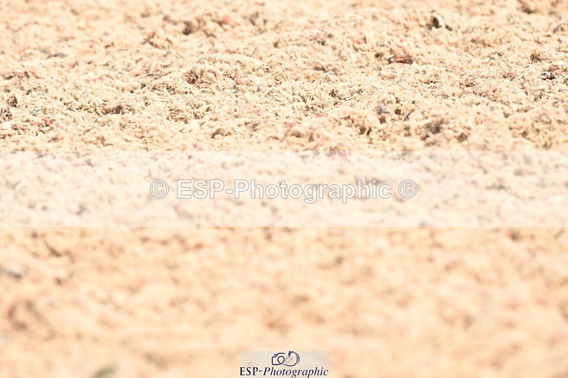 250620-110511-02756 - BD Cls 4 - Novice 5, Start to 11.30am