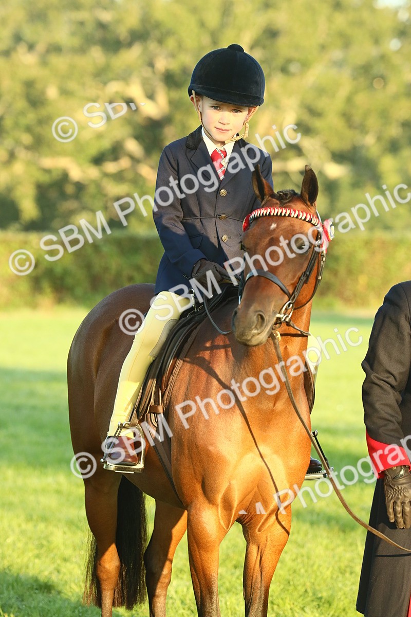 SBM_56525 - S36 - Starters Best Turnout