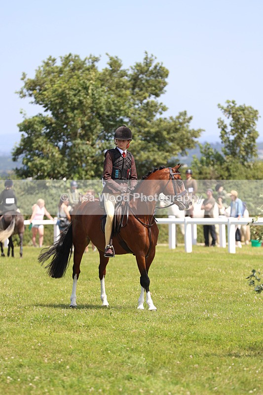 JPP_2619 - Class 21: Working Hunter 60cm