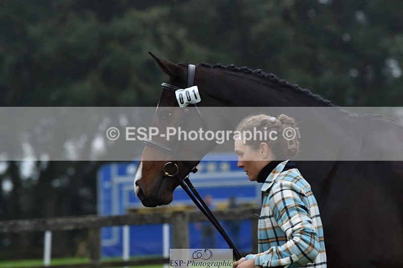 231018-115740-00007 - 001-HAZY.DREAM-Danielle.Dunn-TrotUp