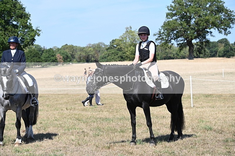 WJ6_9012 - Class 38 Ridden Riding Horse/Pony