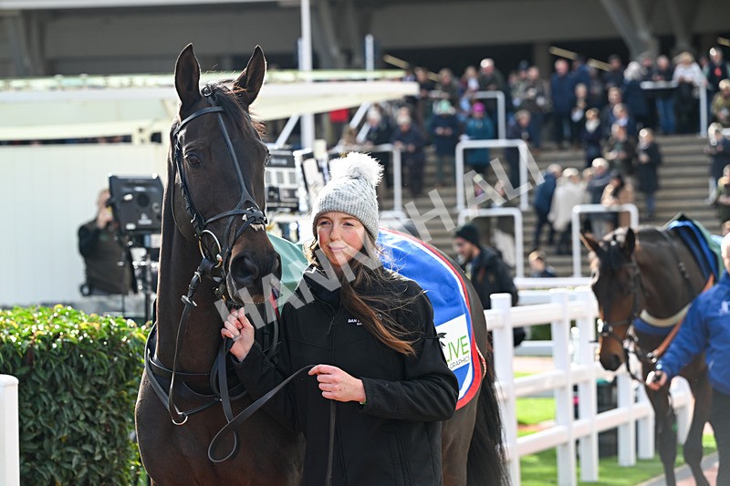 251025-Race 1-Major Fortune-6606 - Race 1