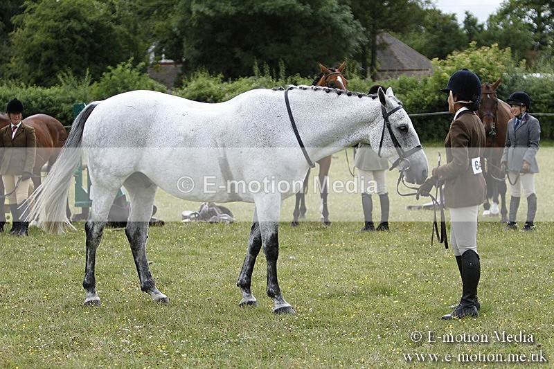 BVR160717-1846 - Ring 3 BVRC Show 16/07/17