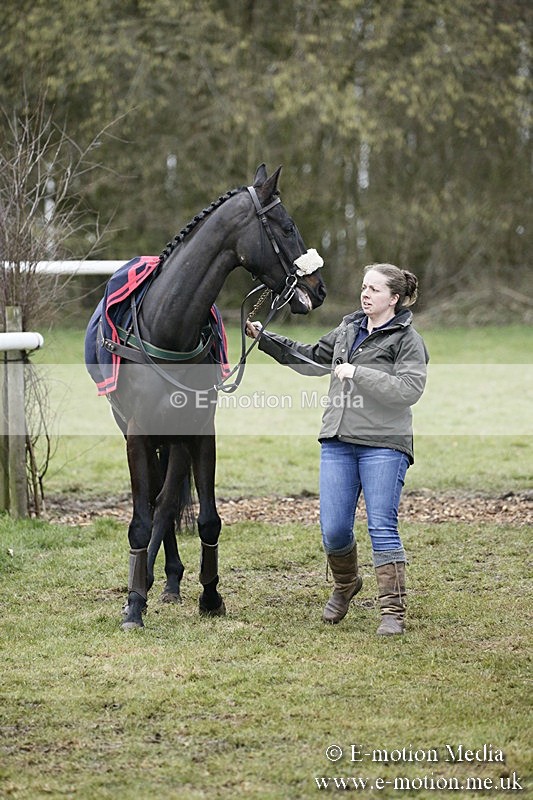 PtP 110318 191 - Hampshire Hunt Point-to-Point Hackwood Park 11/03/18