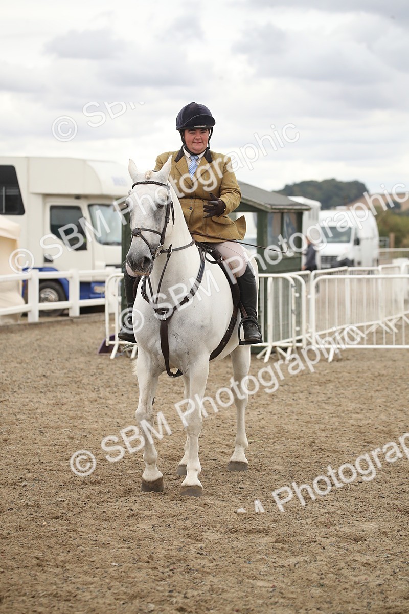 SBM_18261 - Class 509a - Working Veteran - 80cm (15-19)