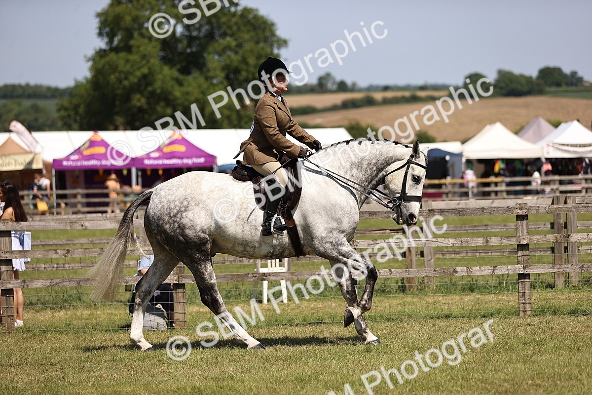 SBM_17719 - Class 81-83 - TSR Ridden Amateur of the Year - Horses