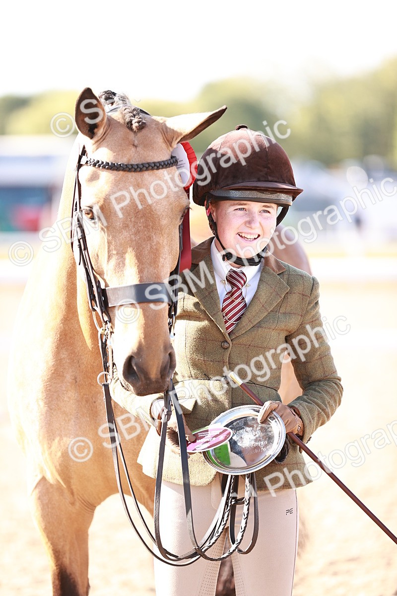 SBM_22085 - Class 703 - IH Coloured