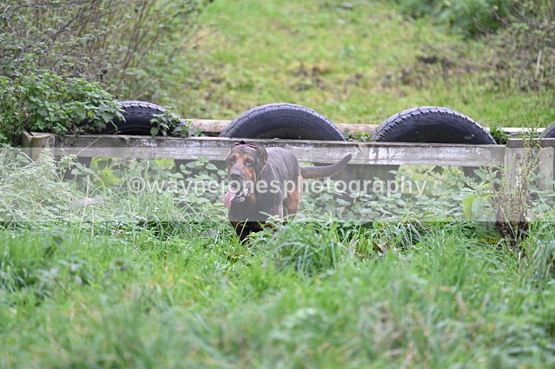 WJ7_8976 - Camera 1 only on this line