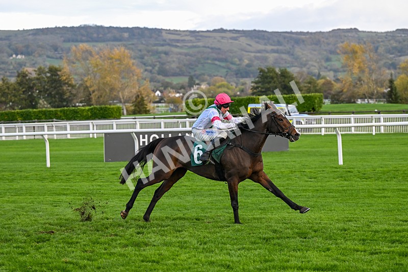 241025-Race 6-Dalston Lad-4935 - Race 6