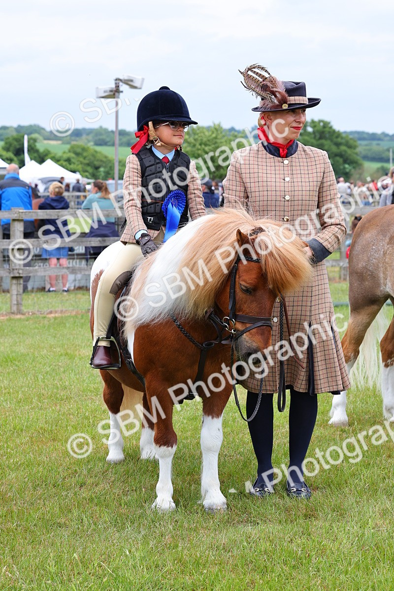 SBM_08366 - Class 42-43 - LIHS BSPS Heritage Working Sports Pony