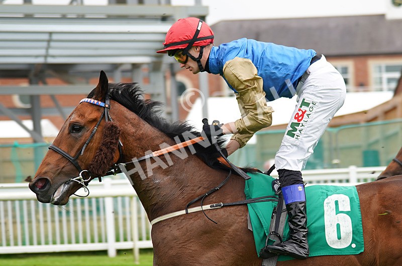 160626-Race 3-Tactical Formation-5 - Race 3 15.25pm Theakston Brewing Legends Since 1827 Handicap