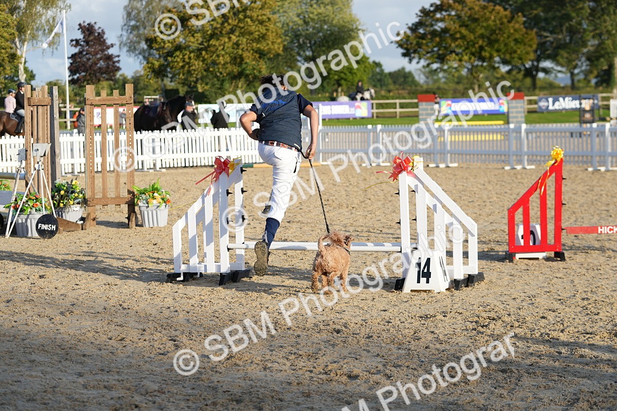 SBM_29451 - J44 - Horse & Hound Open 70cm