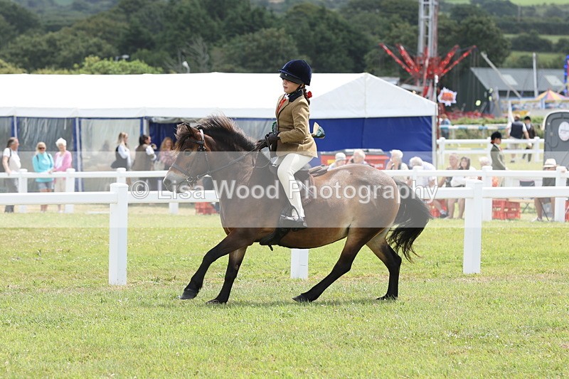 JPP_2010 - Class 18: Tiny Tots Working Hunter Pony