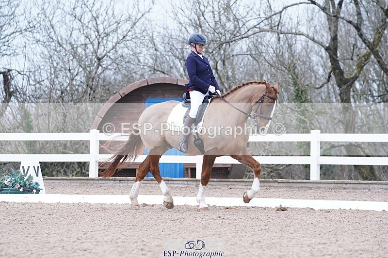 250214-102238-00121 - 224-Jill.McFarland-Adoon.Punchbowl