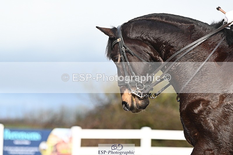 240218A-093209-05150 - 181-sue.langley-S-Cal8