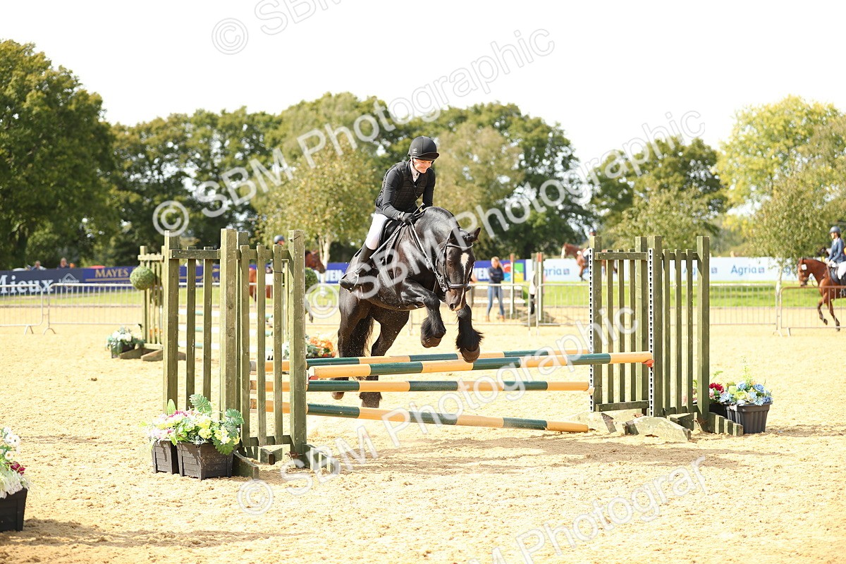 SBM_67305 - J17 - Junior Pony 80cm Championship