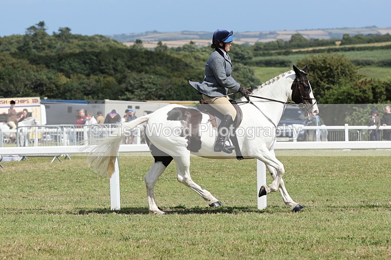 JPP_2297 - Class 19: Working Hunter 60cm