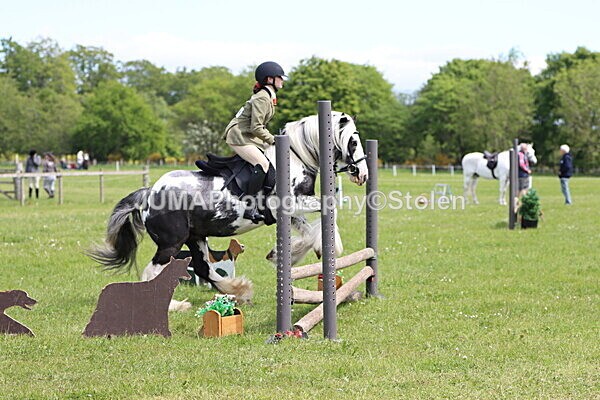 IMG_3151 - Working Hunter