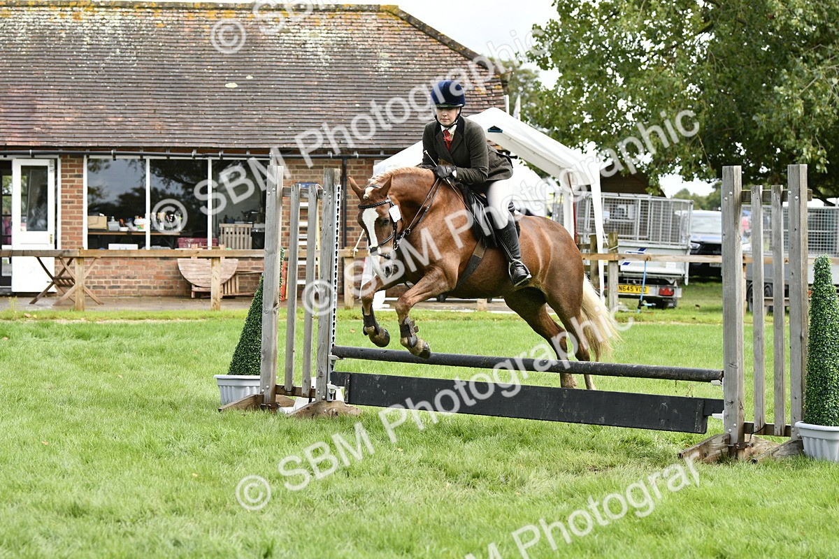 SBM_45637 - S33 - Working Hunter Pony