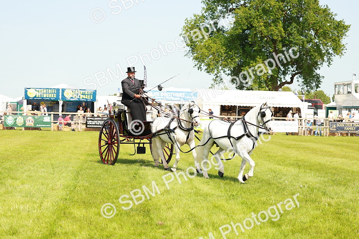SBM_02780