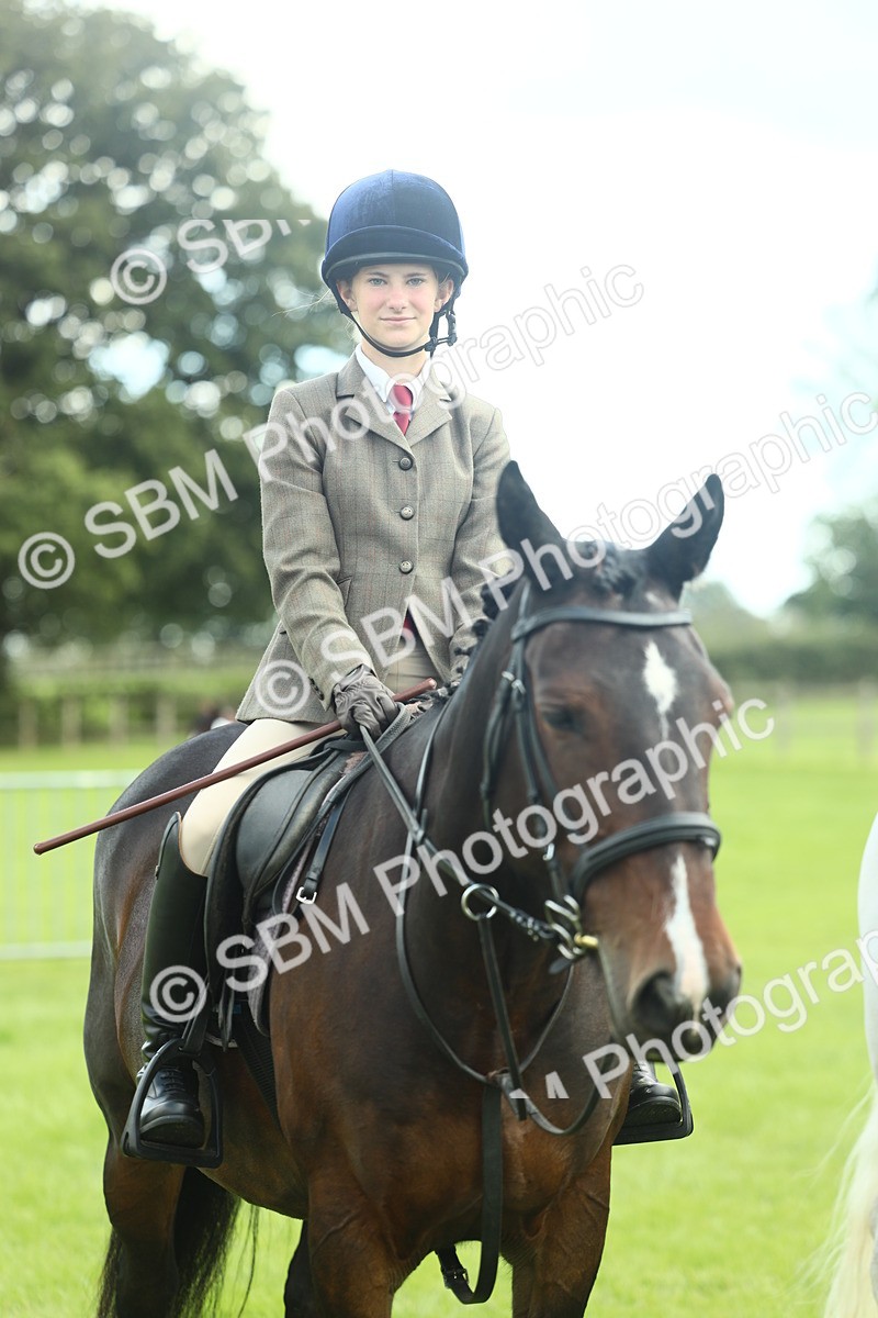 SBM_42217 - S29 - Novice & Newcomers Working Hunter Pony