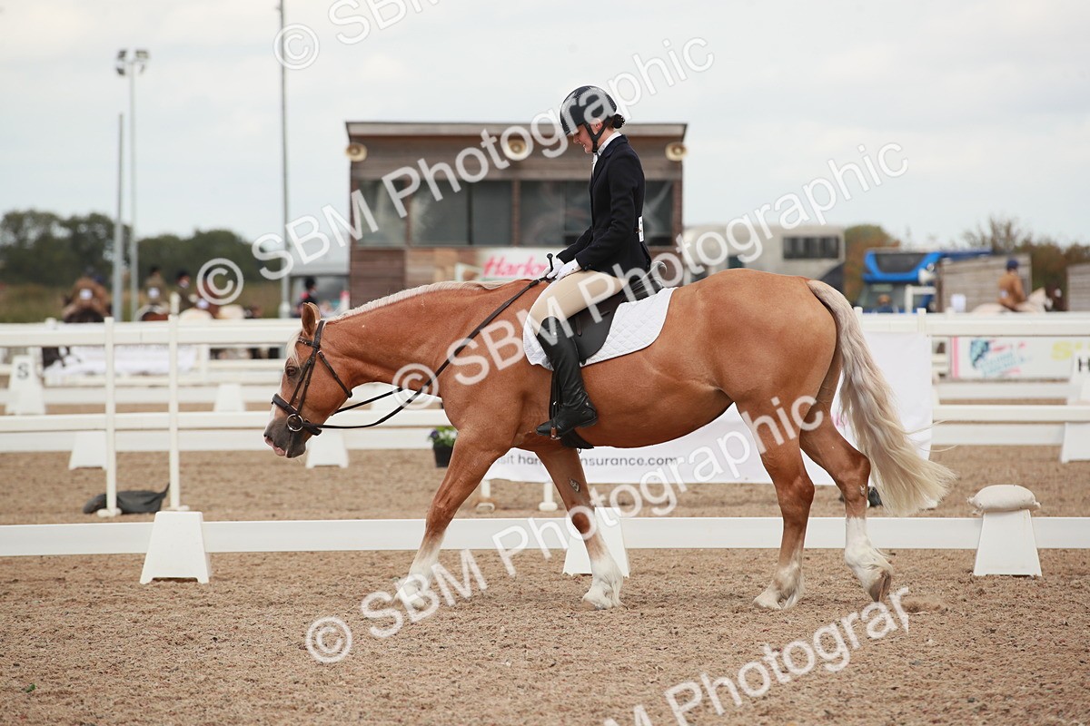 SBM_05909 - Class 32 - Novice 1