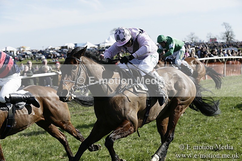 PtP 250317 231 - V.W.H. Hunt Point-to-Point Siddington 25/03/17