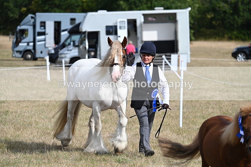WJ7_8021 - In-hand Championship