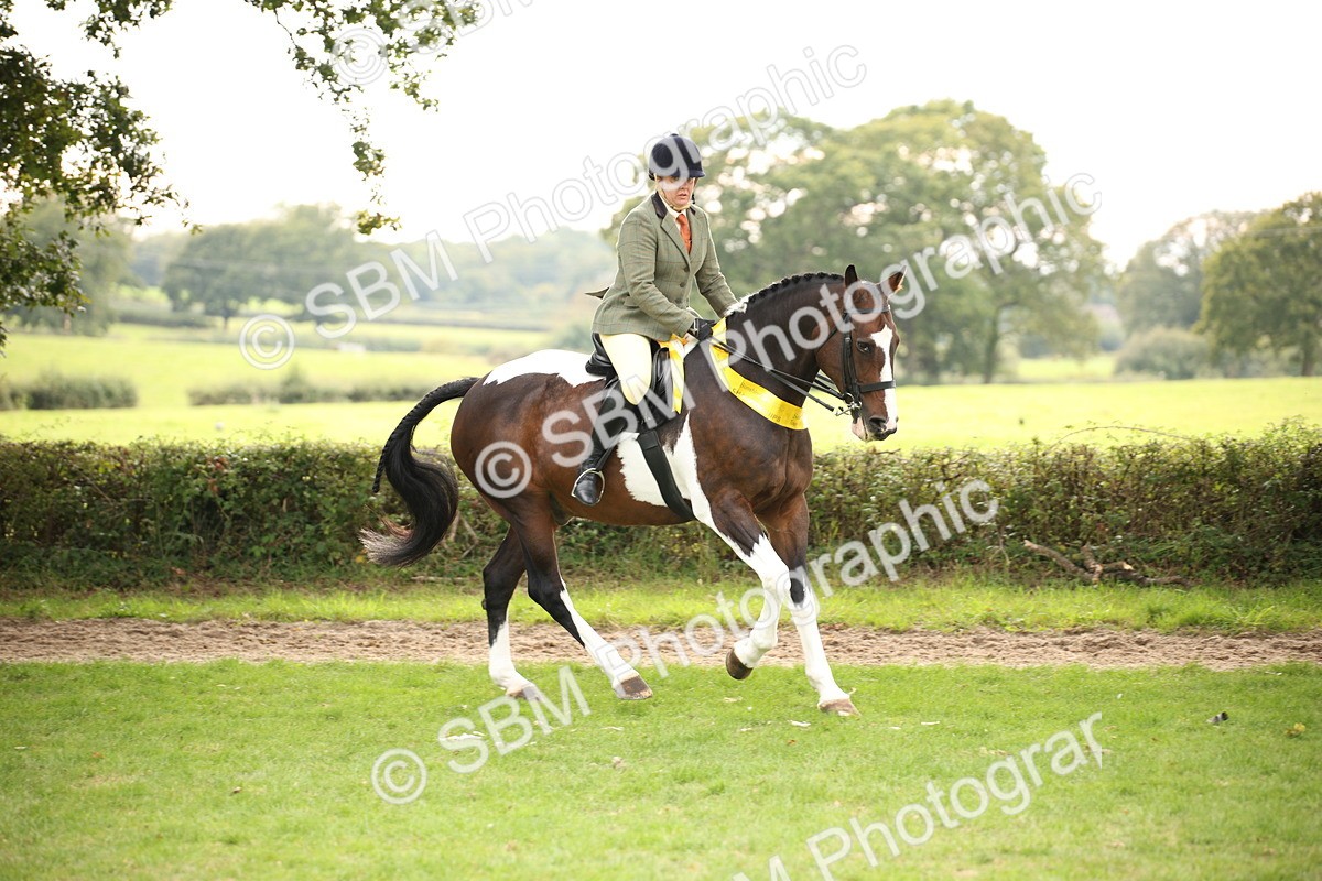SBM_73632 - Ridden Horse Supreme Championship