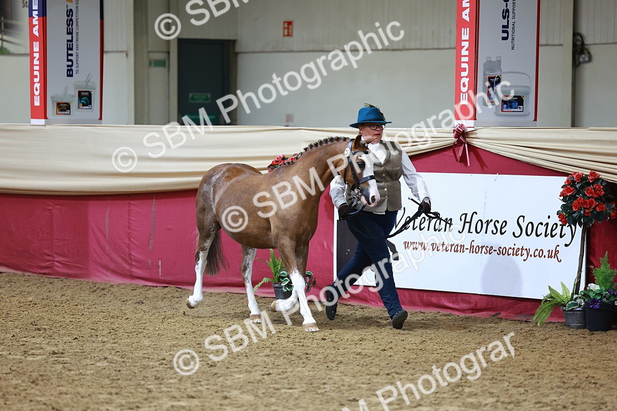 SBM_22117 - Class 902 - Supreme Final - IH Diamond