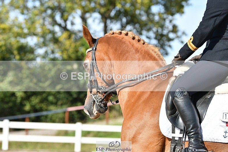 250906-155209-04476 - 122-India.JohnGrayswood.Orlando