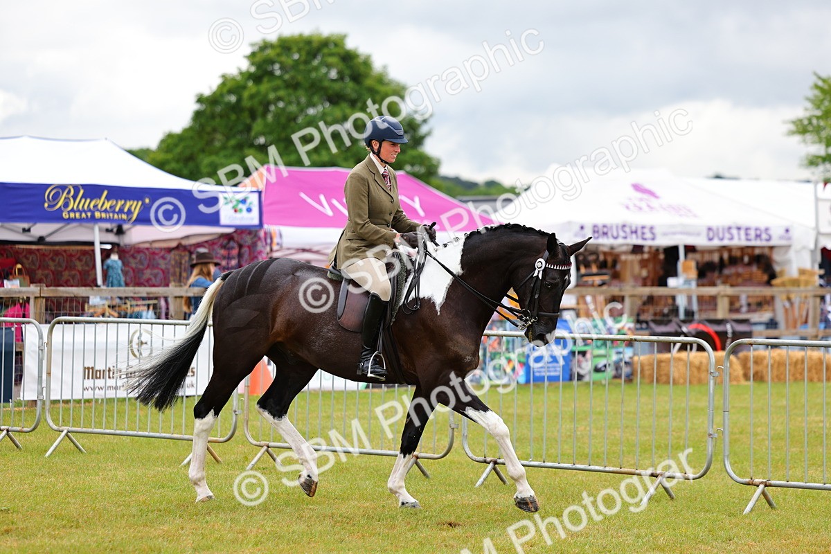 SBM_02484 - Class 9-11 Side Saddle including LIHS Rising Star Ladies Show Horse