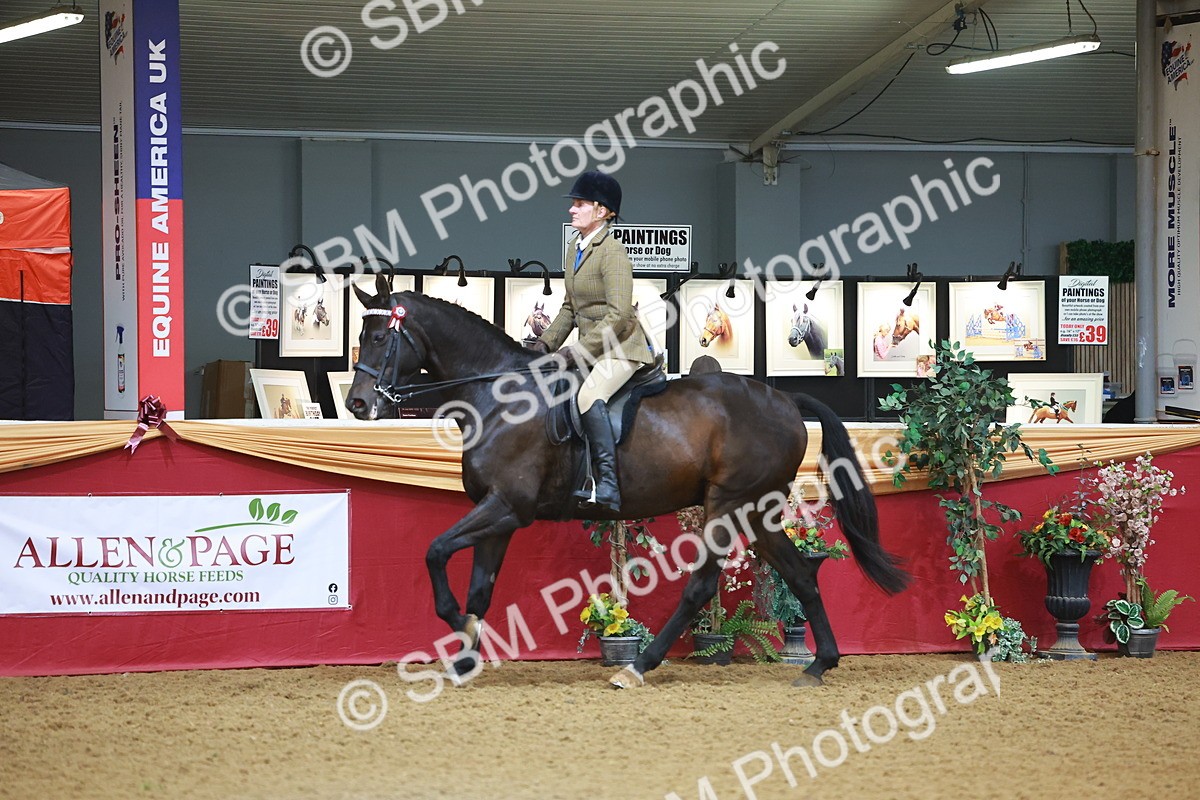 SBM_09708 - Class 102 - HOYS Veteran Qualifier - Ridden Veteran