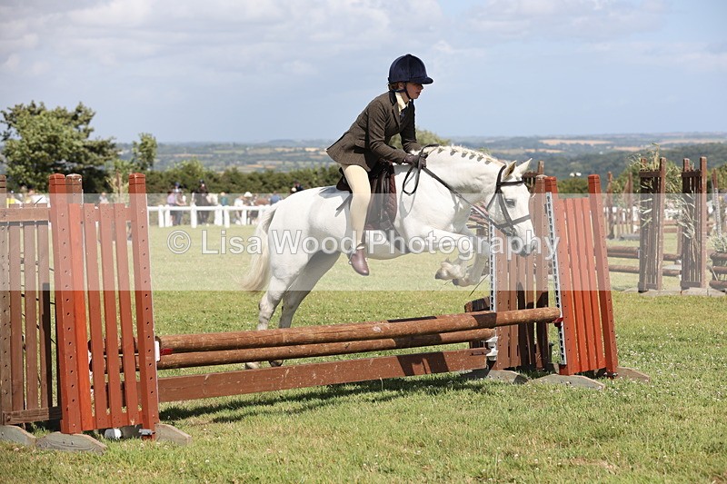 JPP_2233 - Class 19: Working Hunter 60cm