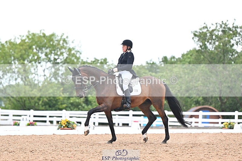 240815A-155337-02480 - 228-Nicola.Rapley-Scolari's.Glory