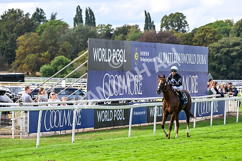 210826-Race 4-Bacio-6325 - Race 4 15.35pm Coolmore City Of Troy Nunthorpe Stakes