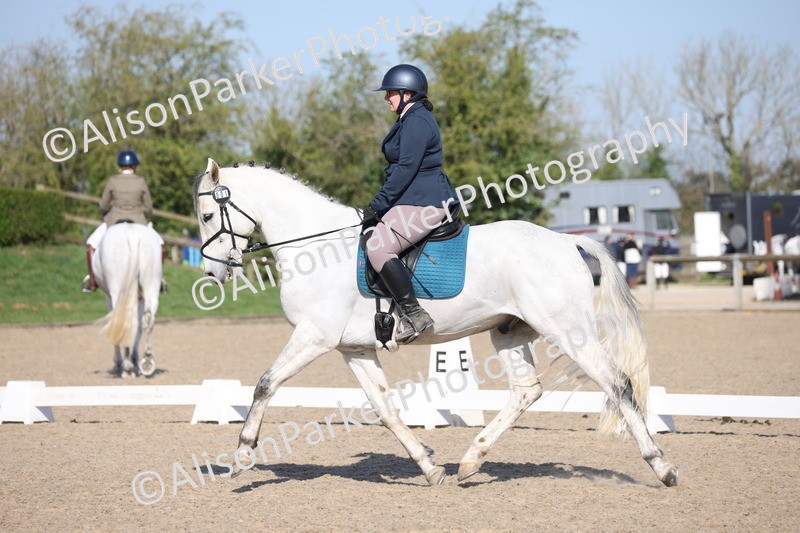 20250405-0190 - Class 11 - My Quest Novice 3