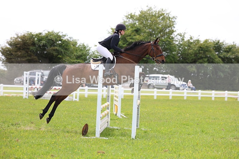 3E7A1591 - Class 13: Senior British Novice/90cm open