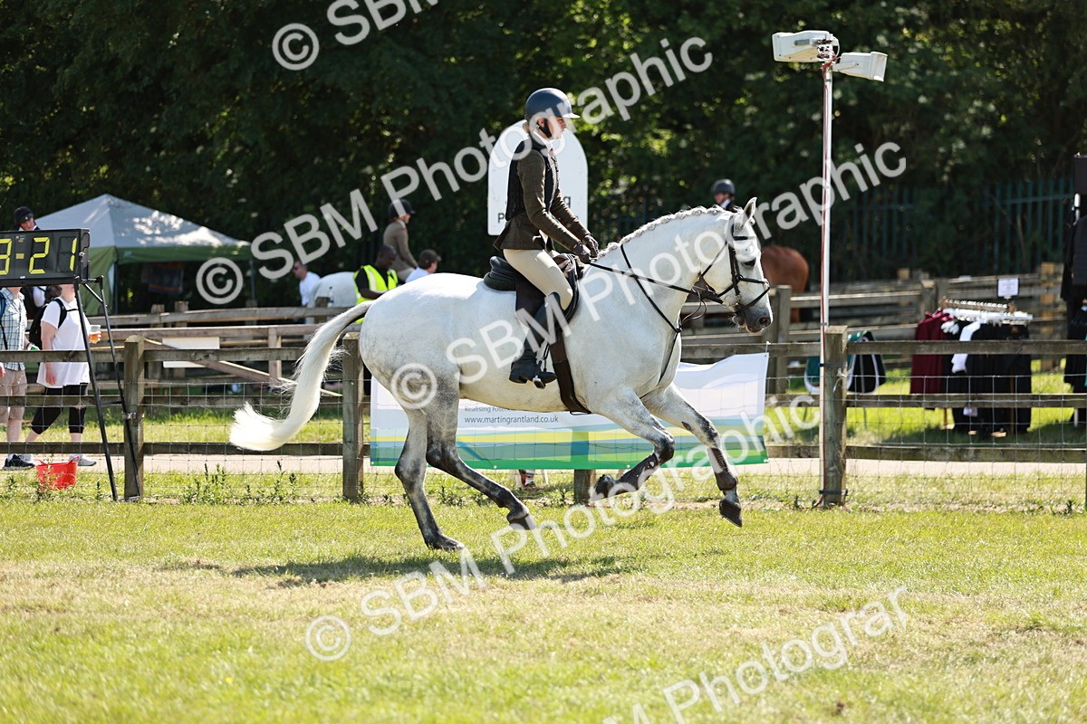 SBM_18455 - Class 112-113 - BSPS LIHS Working Sports Pony