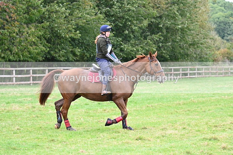 WJ7_9438 - Time at Photographer 10:58 to 11:23