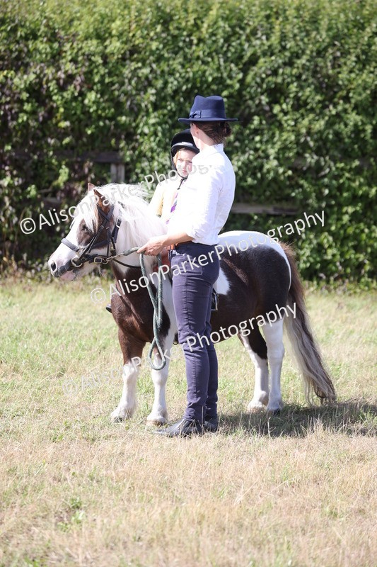 20260906-2761 - Class 25 - Absolute Beginners Pony