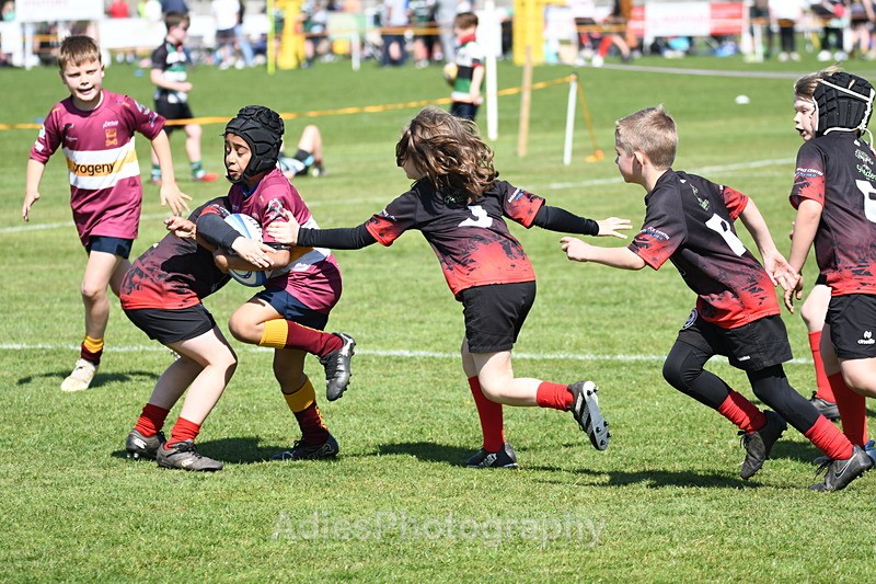  - Selby Rugby Festival 2025